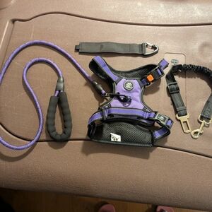 Purple and Black Dog Harness Set